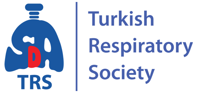 T&Uuml;SAD İngilizce Logo