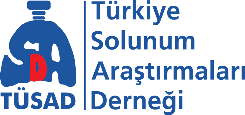T&Uuml;SAD T&uuml;rk&ccedil;e Logo